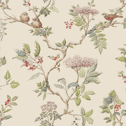 Laura Ashley Elderwood Wallpaper