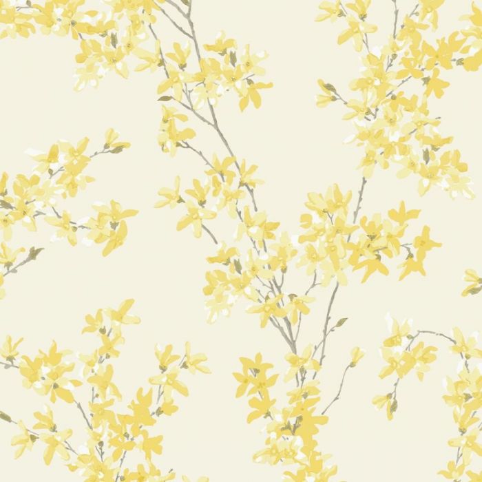 Laura Ashley Forsythia Wallpaper