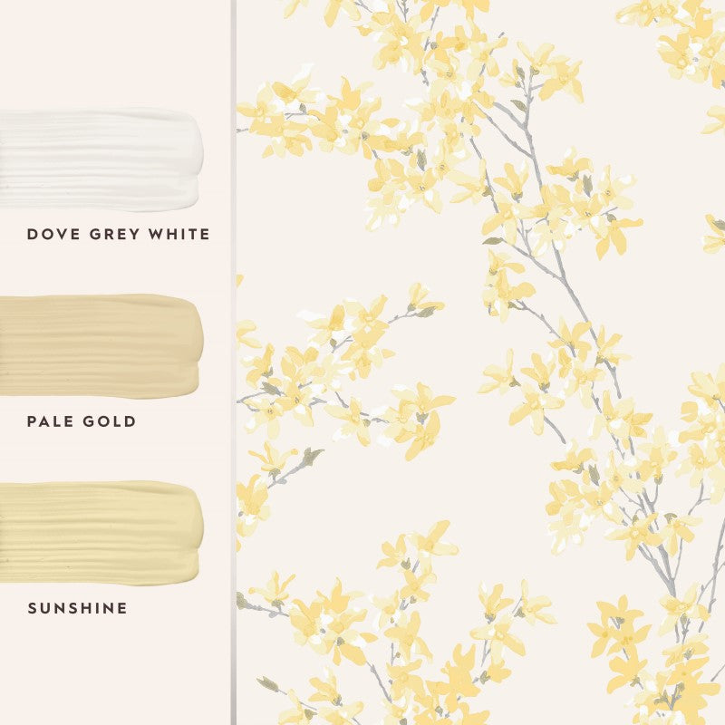 Laura Ashley Paint - Pale Gold