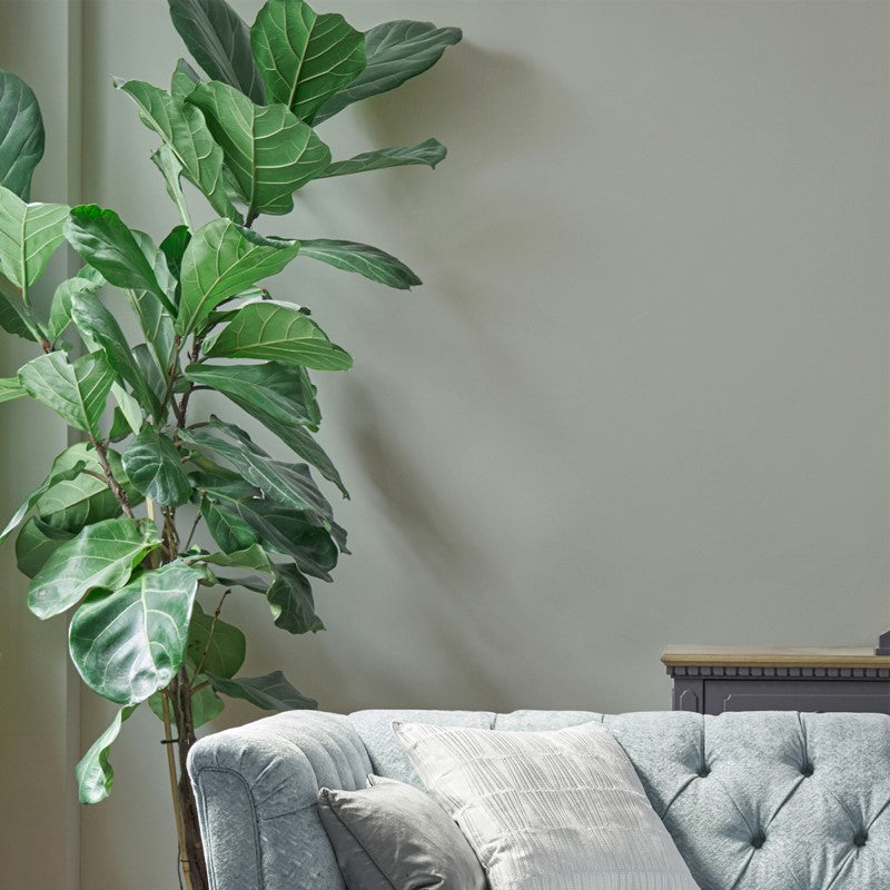 Laura Ashley Paint - Sage Leaf