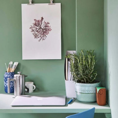 Farrow & Ball - Breakfast Room Green No. 81