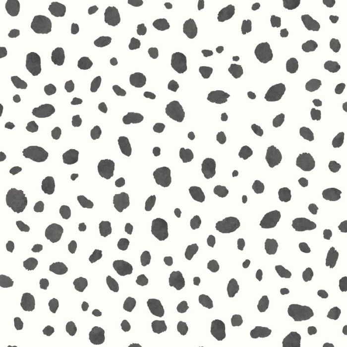 Dalmatian Wallpaper