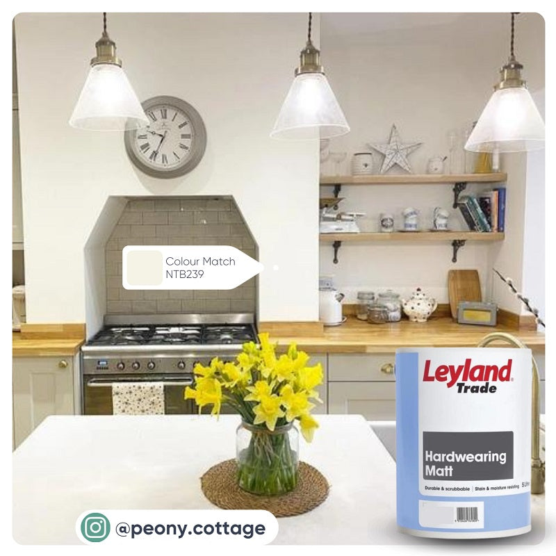 Transform Your Kitchen - Colour Match Paint