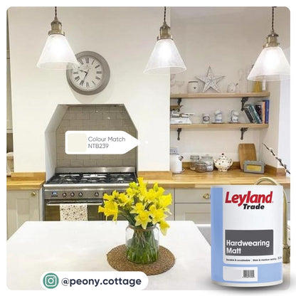 Transform Your Kitchen - Colour Match Paint