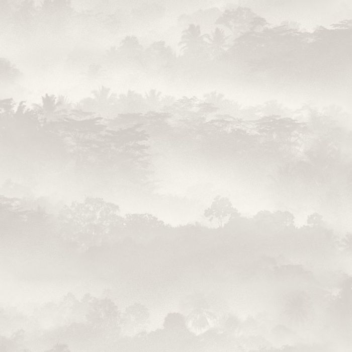 Tropical Misty Landscape Wallpaper