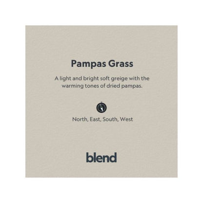 Blend Pampas Grass