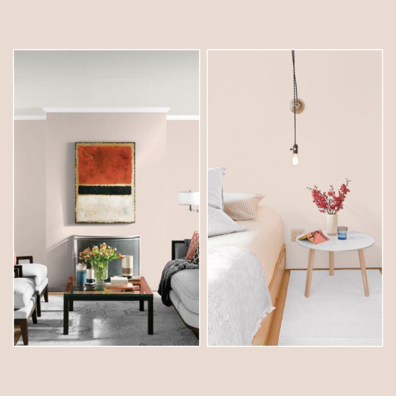 DCO Colour of the Year 2025 - Rose All Day