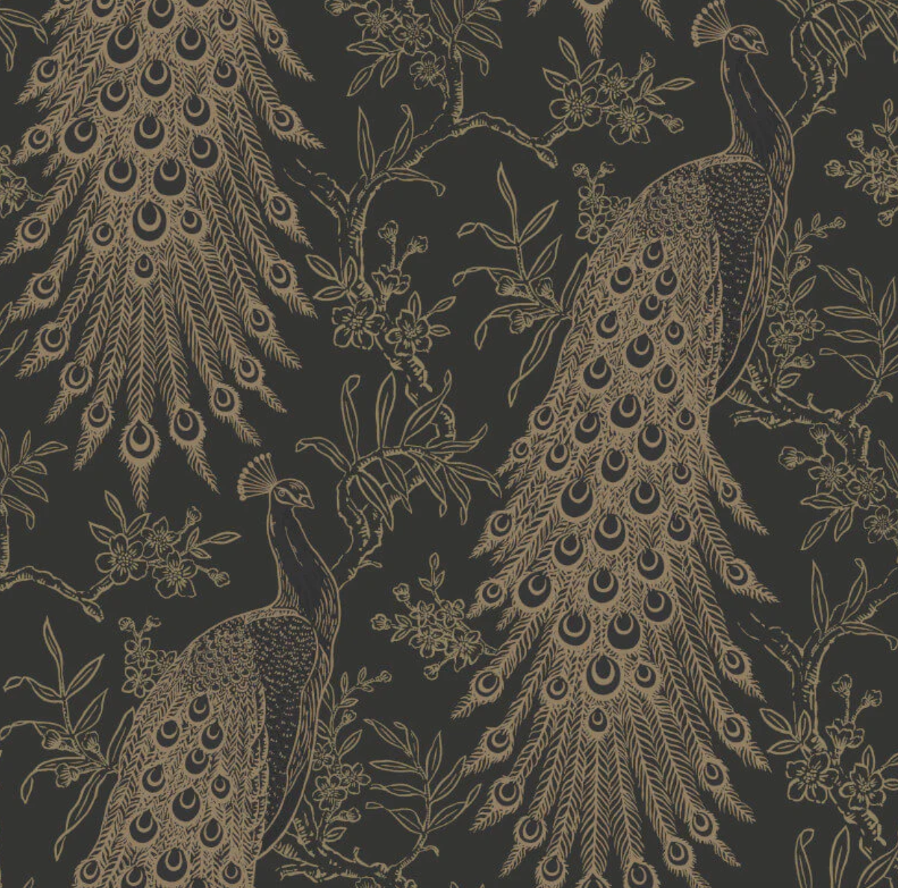 Metallic Peacock Wallpaper Black & Gold sample