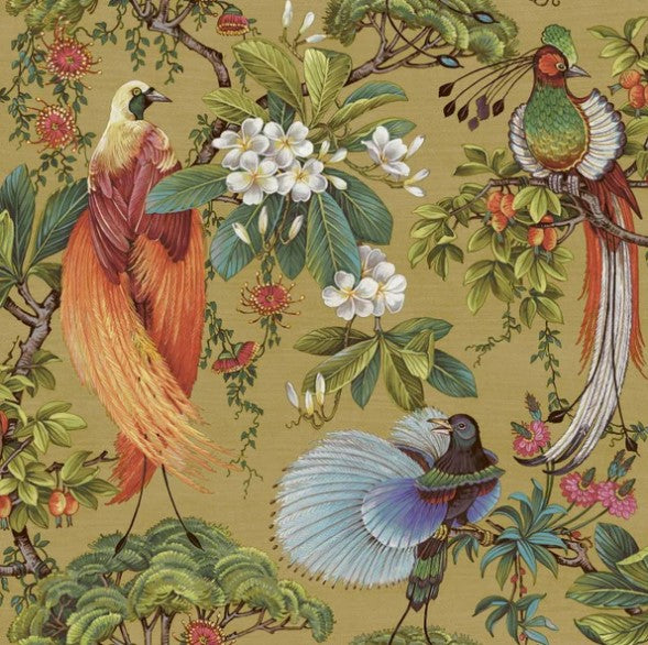 Yasuni Oriental Tropical Bird Wallpaper Ochre Sample