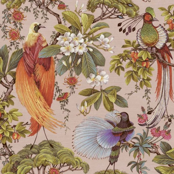 Yasuni Oriental Tropical Bird Wallpaper Pink Sample