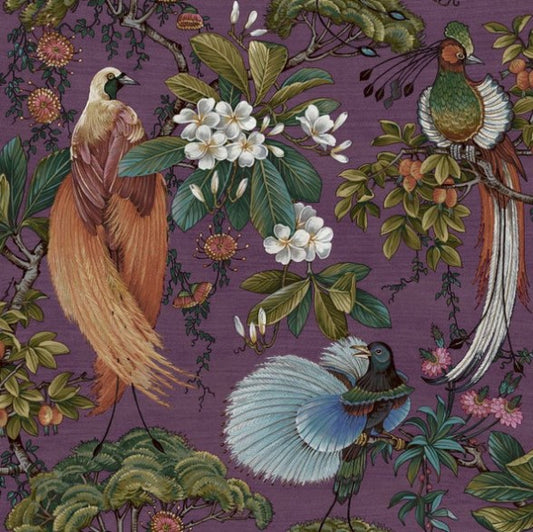 Yasuni Oriental Tropical Bird Wallpaper Plum Sample