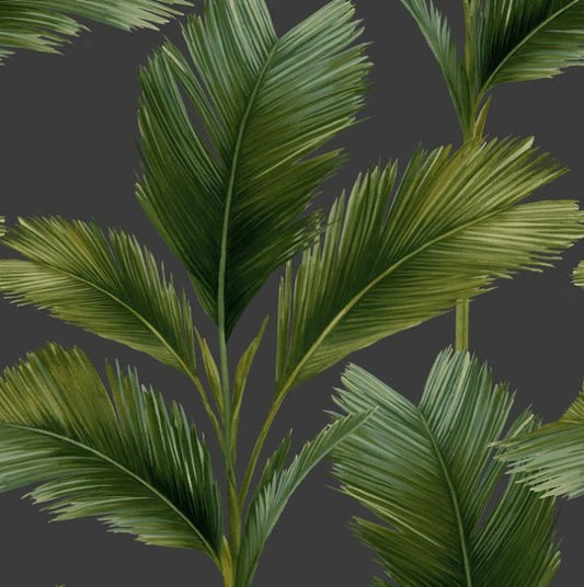 Kailani Palm Leaf Wallpaper Charcoal/Green Sample