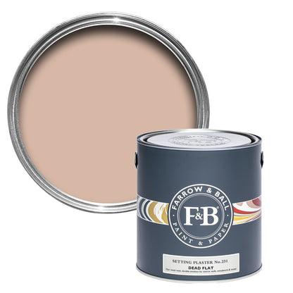 Farrow & Ball - Setting Plaster No.231