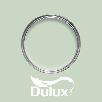 Dulux Willow Tree