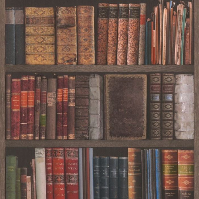 Library Bookcase Wallpaper