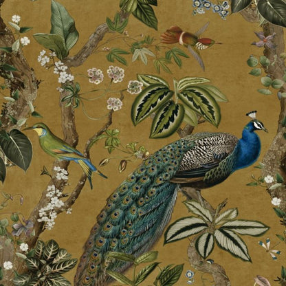 Cassia Peacock Wallpaper