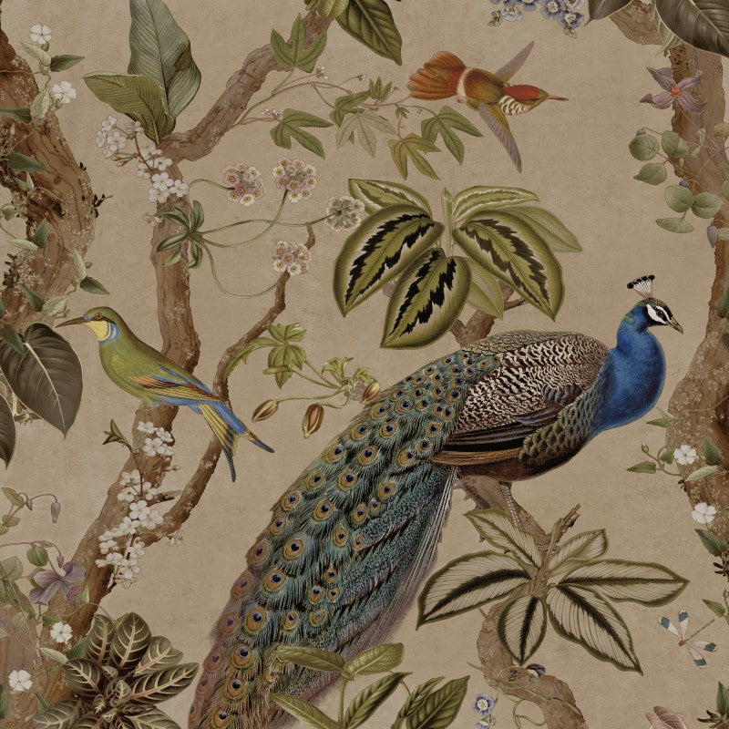 Cassia Peacock Wallpaper