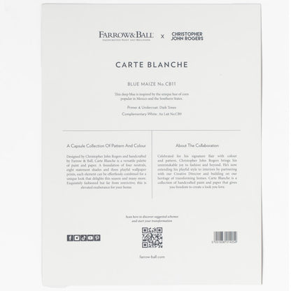 Farrow & Ball Carte Blanche Paint Sample Swatch - Blue Maize