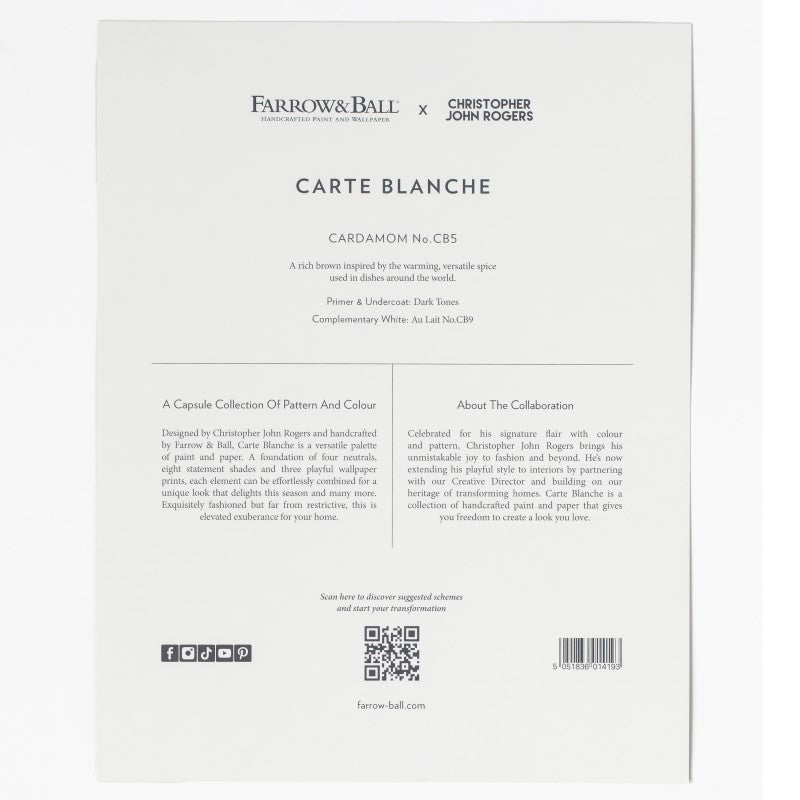 Farrow & Ball Carte Blanche Paint Sample Swatch - Cardamom