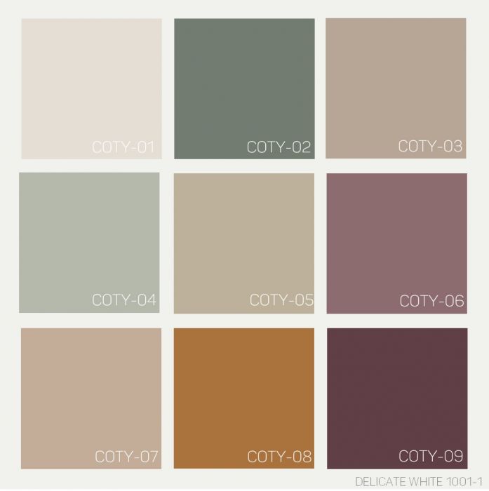 DCO Colour of the Year 2 - 2021