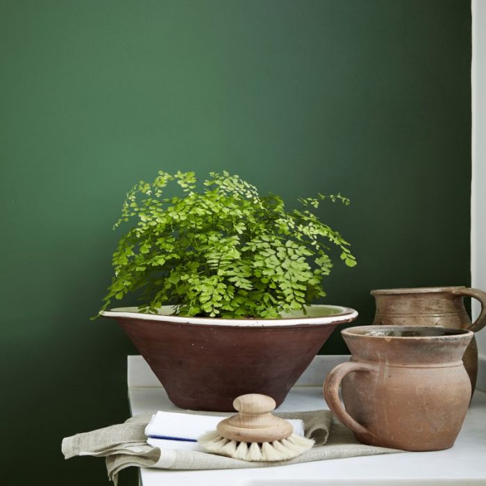 Little Greene - Dark Brunswick Green