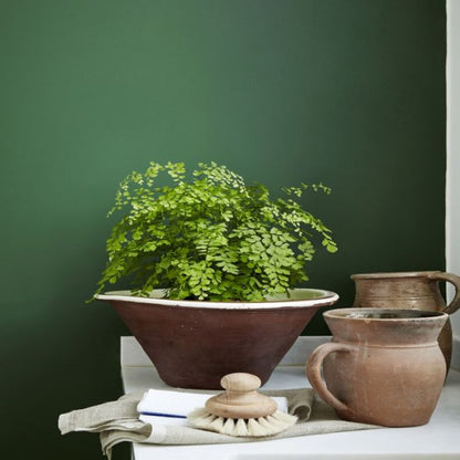 Little Greene - Dark Brunswick Green