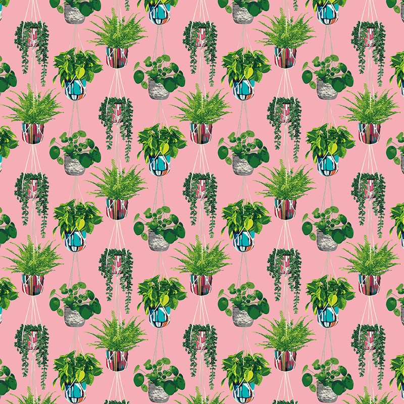 Ohpopsi Houseplant Wallpaper