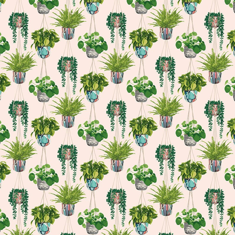 Ohpopsi Houseplant Wallpaper