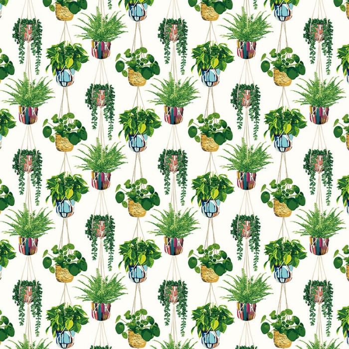 Ohpopsi Houseplant Wallpaper