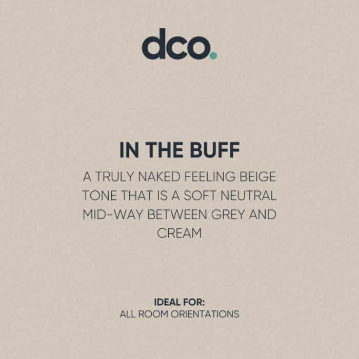 DCO Colour of the Year 2023 - In The Buff