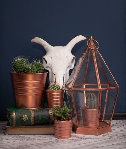 Rust Oleum Elegant Finish Metallic Spray Paint Metallic Paints Decorating Centre Online