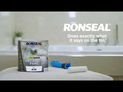 Ronseal Anti Mould Paint - White