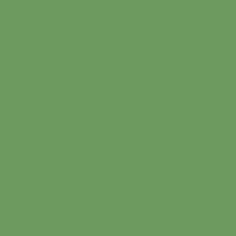 Farrow & Ball Carte Blanche Paint Sample Swatch - Raw Tomatillo