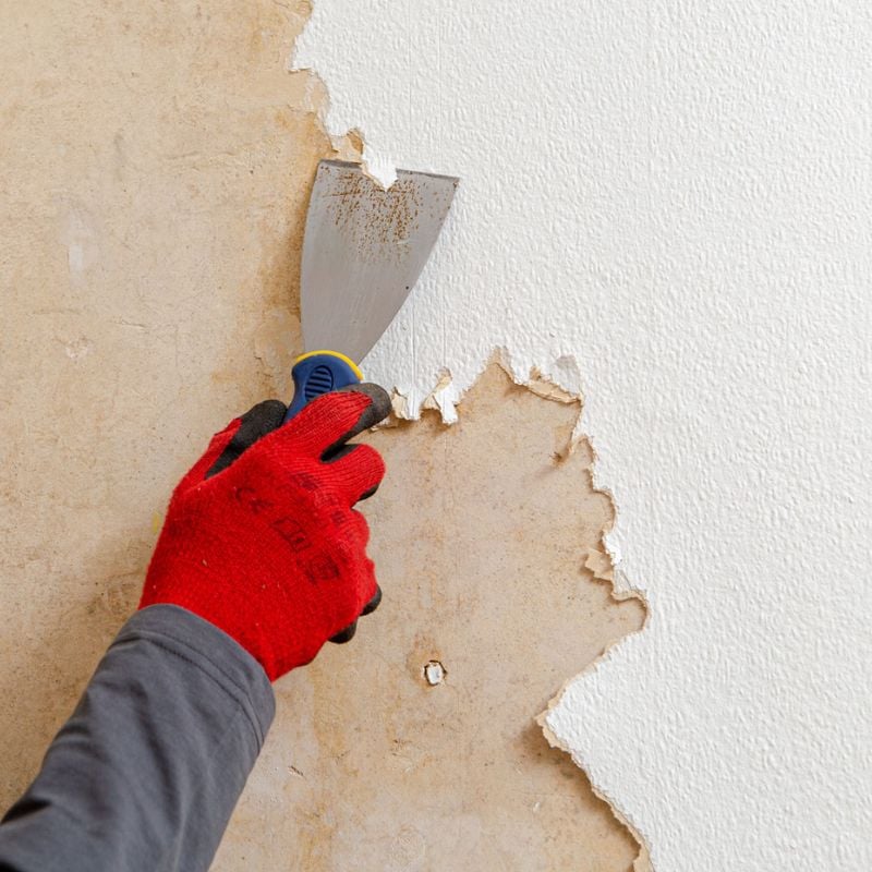 Remove Wall Paper, Don't Paint Over It Says Pro Painter | Networx