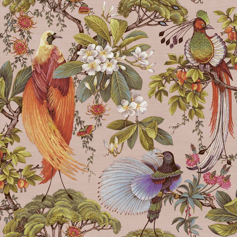 Yasuni Oriental Tropical Bird Wallpaper Pink