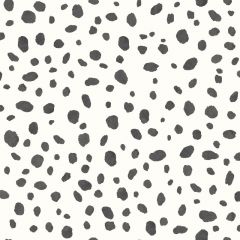Dalmatian Wallpaper
