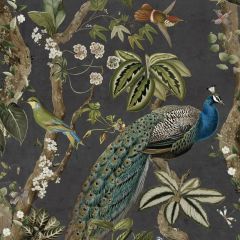 Whispering Peacock Woods Wallpaper - Charcoal