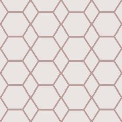 A light pink background with a rose gold hexagon geometric design on top.